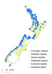 Lindsaea trichomanoides distribution map based on databased records at AK, CHR and WELT.
 Image: K. Boardman © Landcare Research 2016 CC BY 3.0 NZ